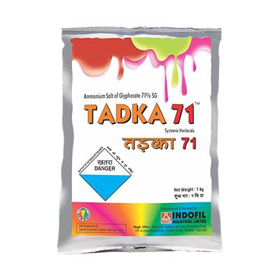 Tafgoतफगोर – Agribiz Farm